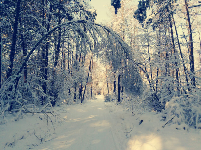 Miniaturka artykułu Rozstrzygnięcie konkursu fotograficznego „Zima w gminie Białopole”
