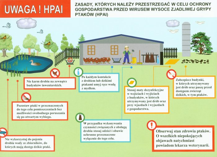 Miniaturka artykułu Ulotki informacyjne dotyczące chorób zwierzęcych