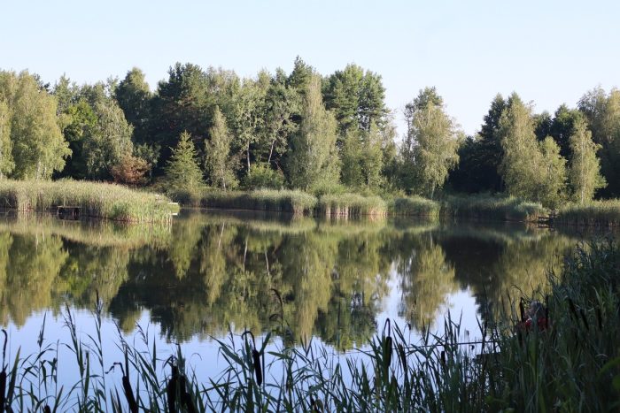 Miniaturka artykułu Zawody Wędkarskie o Puchar Wójta Gminy Białopole