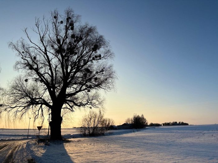 Miniaturka artykułu Rozstrzygnięcie konkursu fotograficznego „Zimowe krajobrazy w Gminie Białopole”