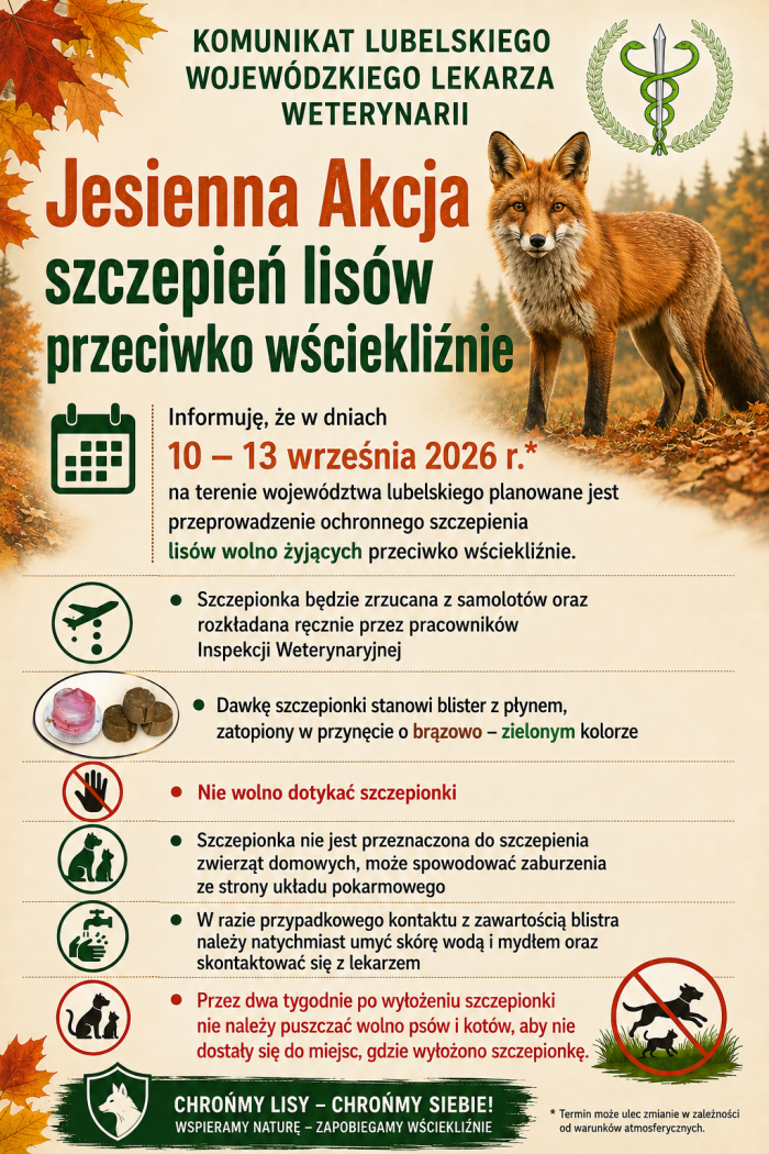 Miniaturka artykułu Jesienna akcja szczepień lisów przeciwko wściekliźnie
