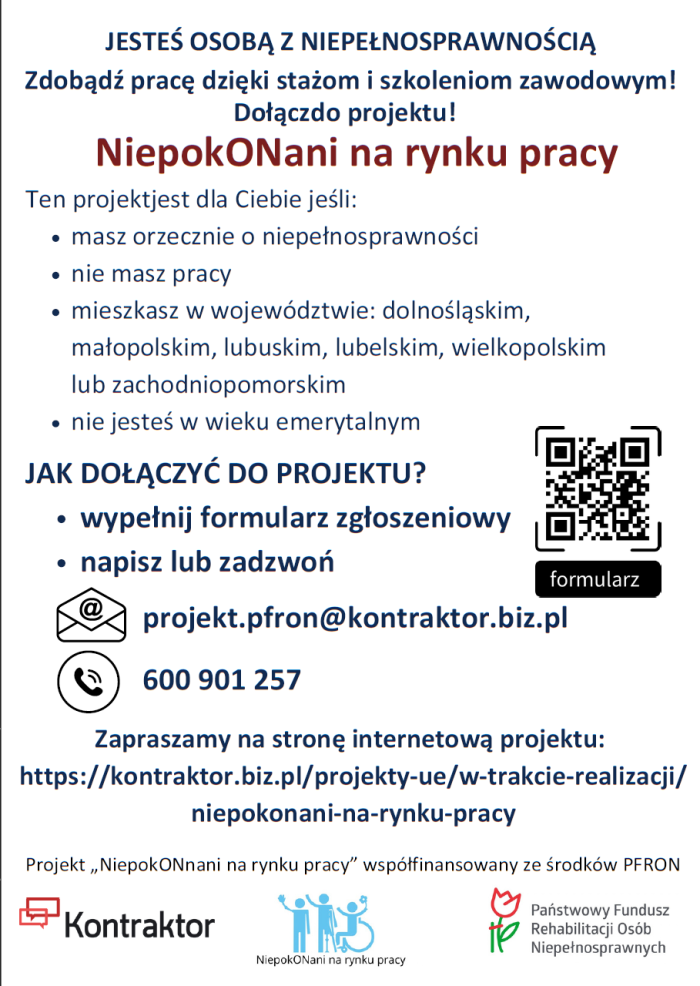 Miniaturka artykułu Projekt „Niepokonani na rynku pracy”